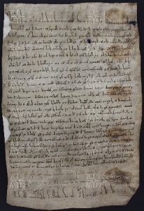 61 B.17.LXIr, Investitura fatta da Ingone vescovo a favore di Andrea e di Adamo e Alberto da Solara, San Felice, [1030-1031, nov. 15]